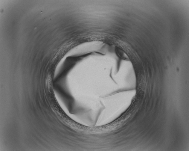 X0000062880046200602031752
