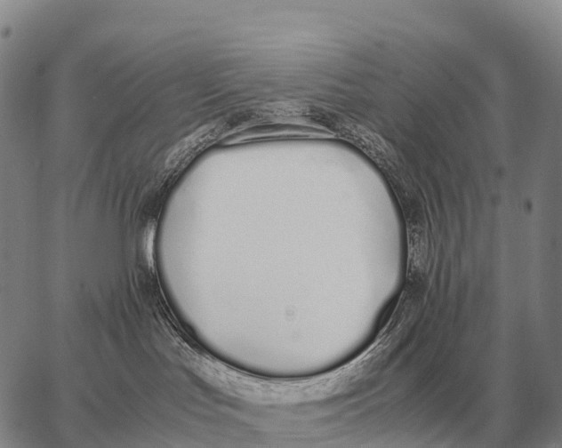 X0000062880047200602031752