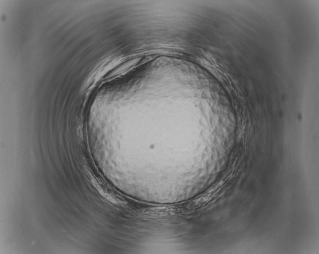 X0000062880050200602031752