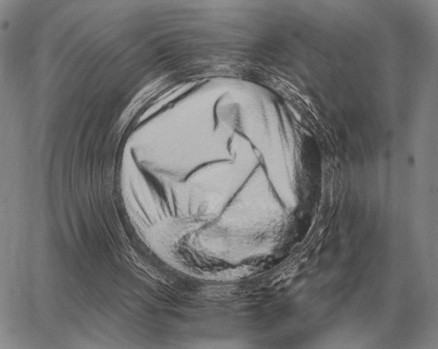 X0000062880051200602031752