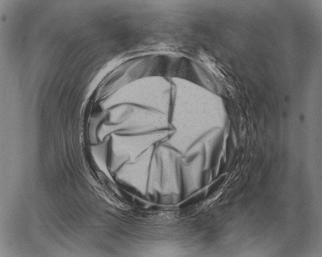 X0000062880056200602031752