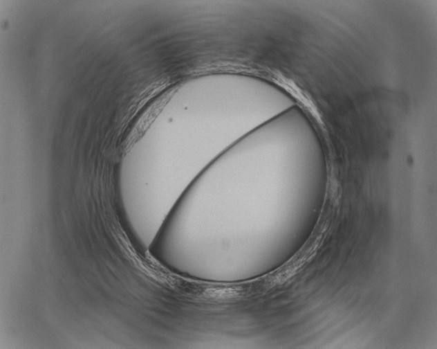 X0000062880057200602031752