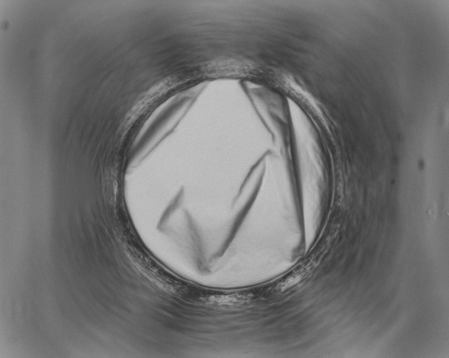 X0000062880059200602031752