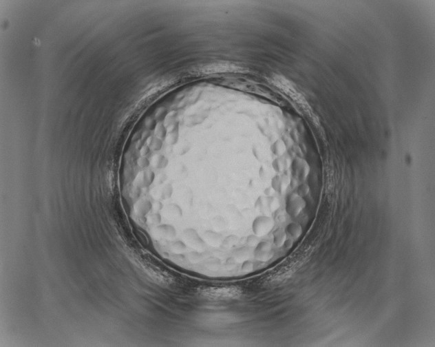 X0000062880063200602031752