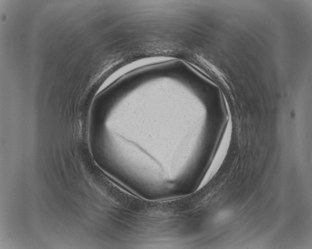 X0000062880067200602031752