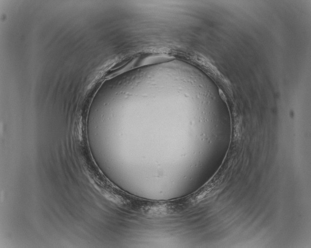 X0000062880068200602031752