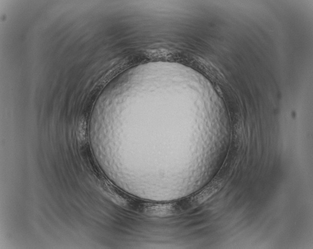X0000062880081200602031752