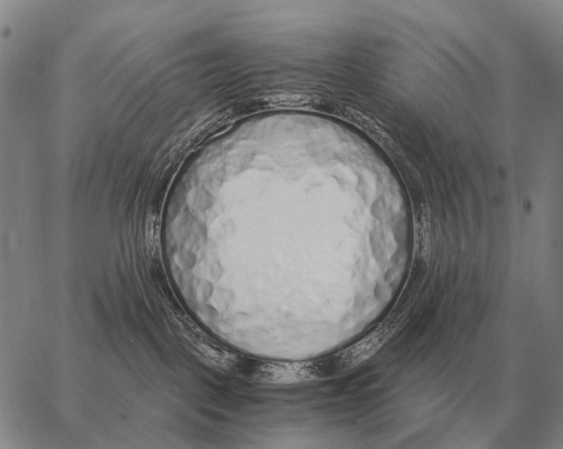 X0000062880093200602031752