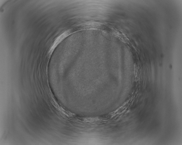 X0000062880099200602031752