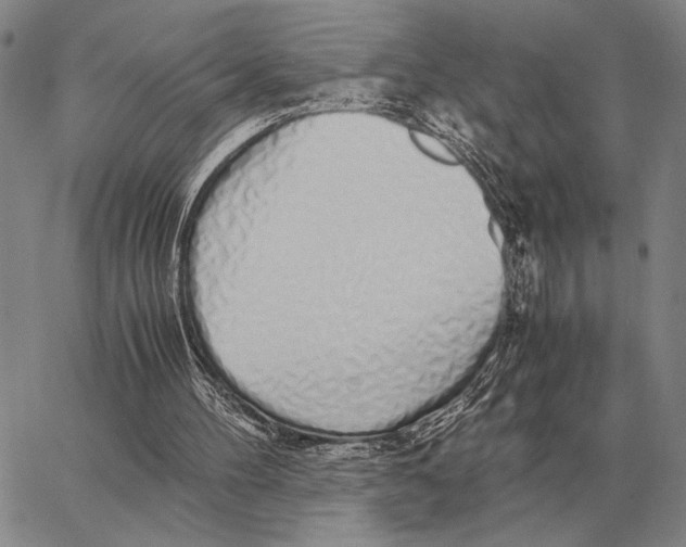 X0000062880100200602031752