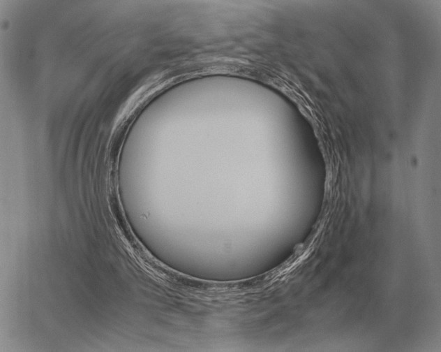 X0000062880101200602031752
