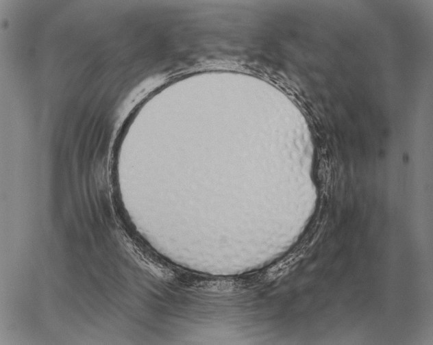 X0000062880104200602031752