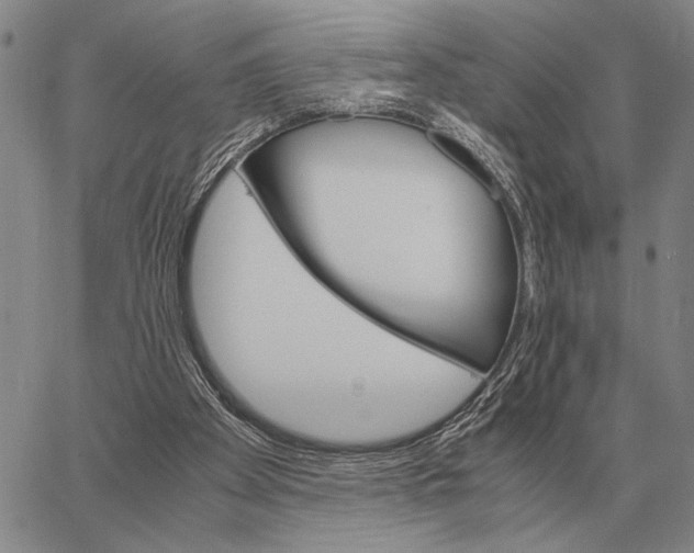X0000062880105200602031752