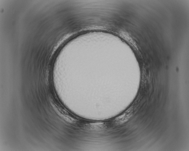 X0000062880108200602031751