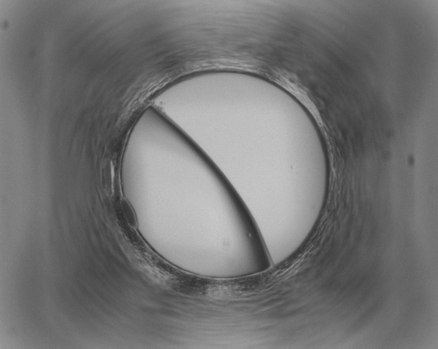 X0000062880109200602031751
