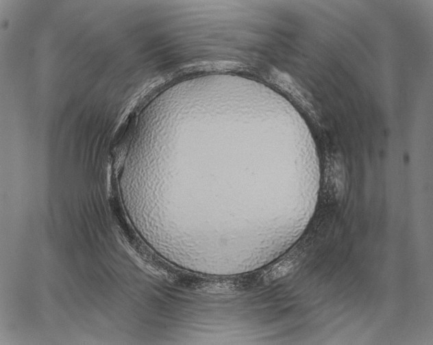 X0000062880110200602031751