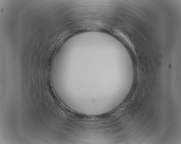 X0000062880113200602031751