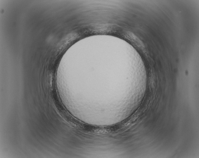 X0000062880115200602031751