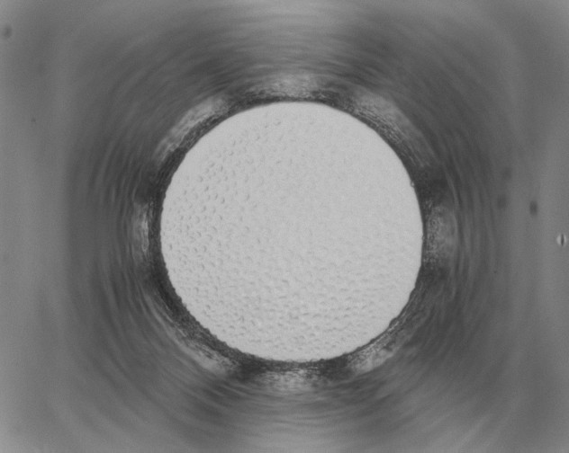 X0000062880120200602031751