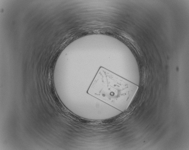 X0000062880121200602031751
