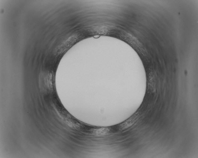 X0000062880122200602031751