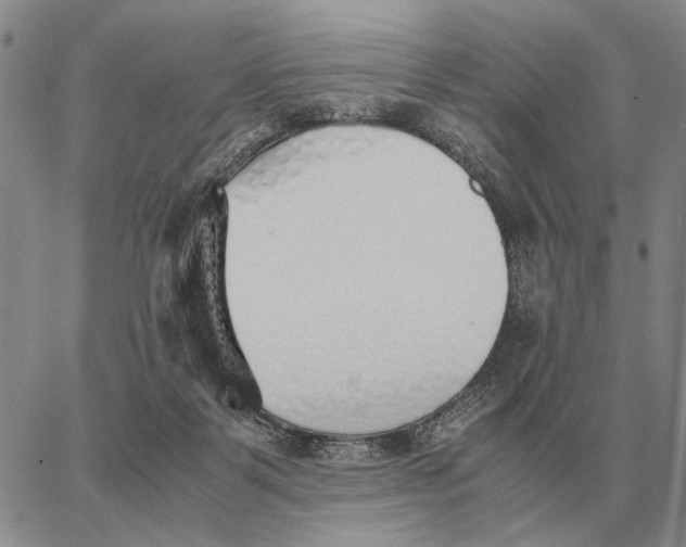 X0000062880123200602031751