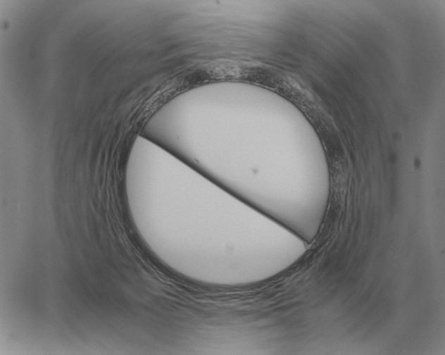 X0000062880125200602031751