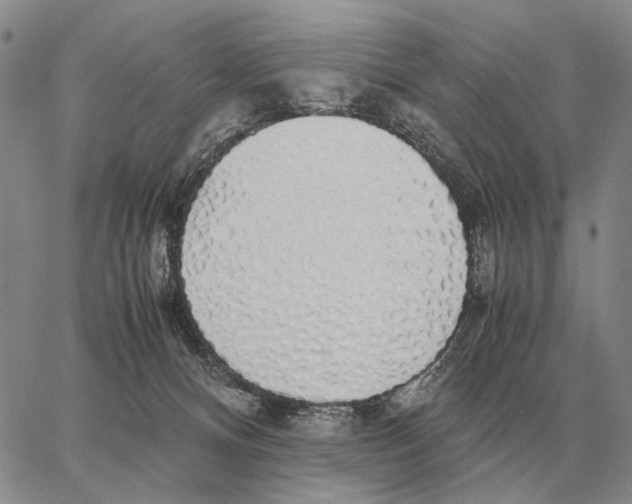X0000062880128200602031751
