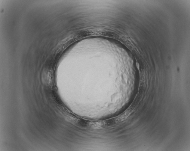 X0000062880131200602031751