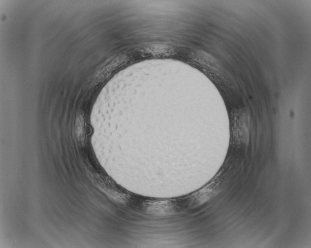 X0000062880132200602031751