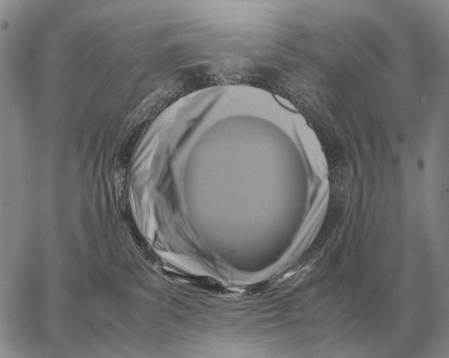 X0000062880139200602031751