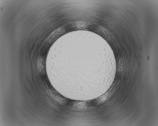 X0000062880140200602031751