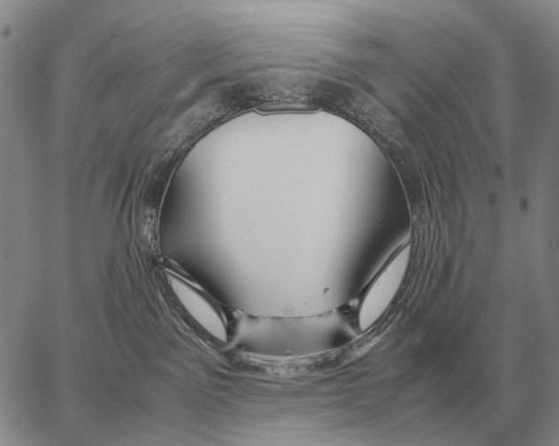 X0000062880141200602031751