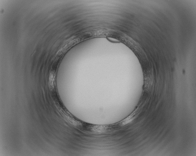 X0000062880142200602031751