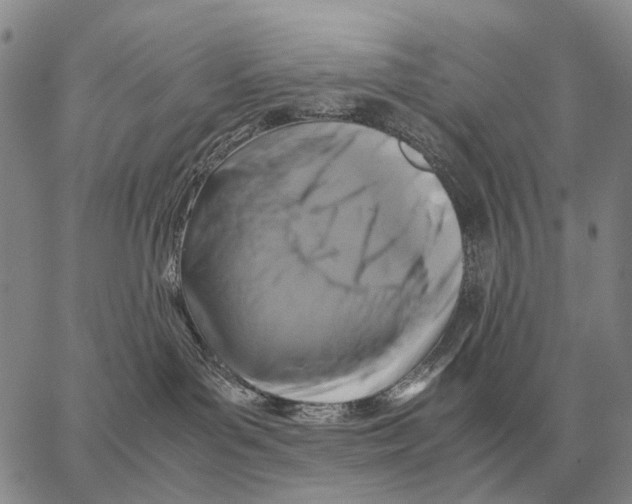 X0000062880143200602031751