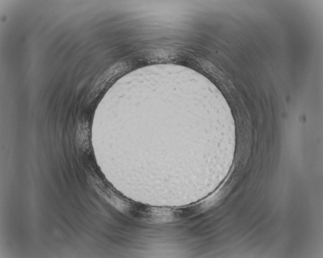 X0000062880144200602031751