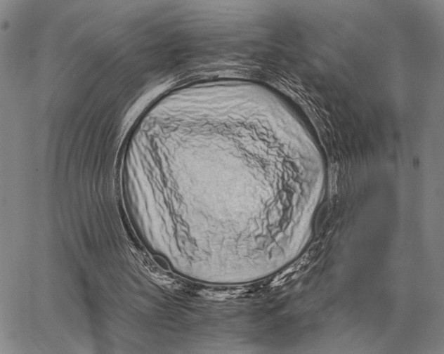 X0000062880147200602031750