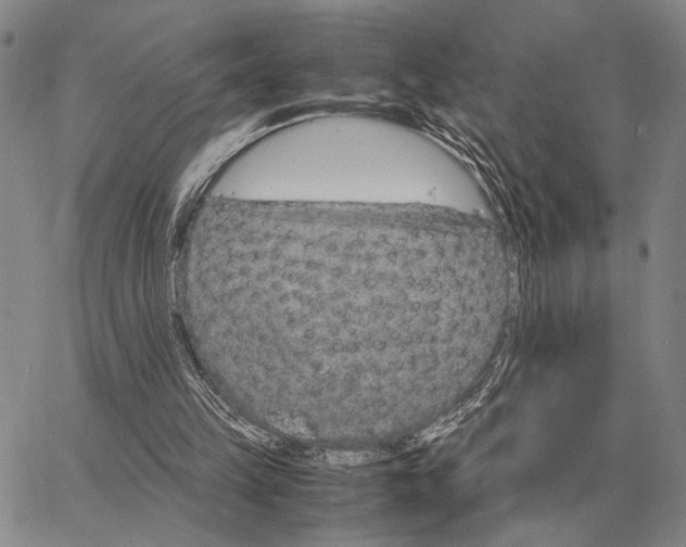 X0000062880149200602031750