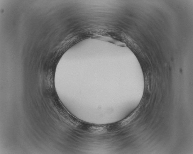 X0000062880170200602031751