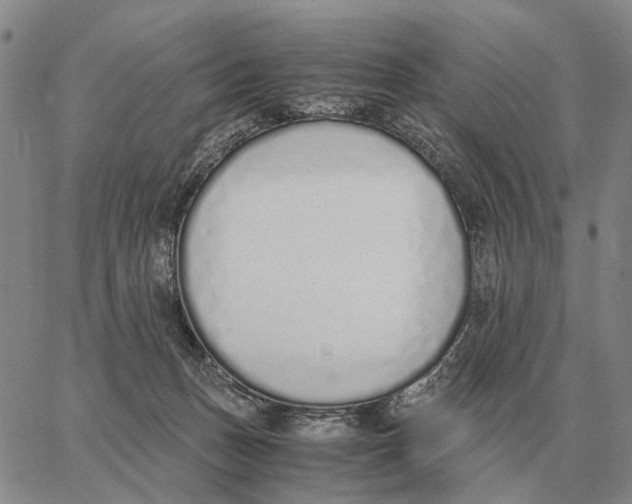 X0000062880175200602031751