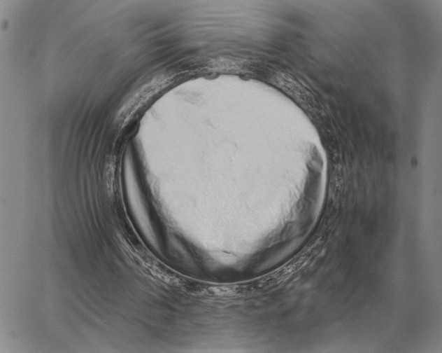 X0000062880194200602031750