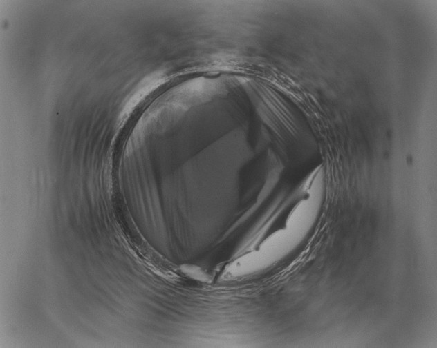 X0000062880200200602031750