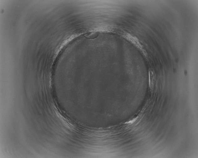 X0000062880204200602031750