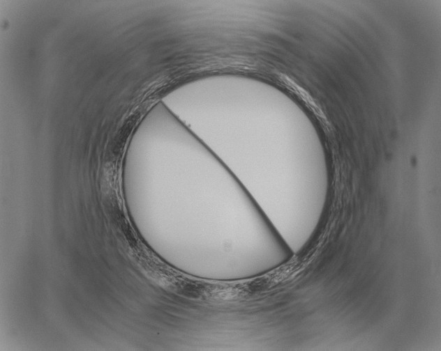 X0000062880209200602031750