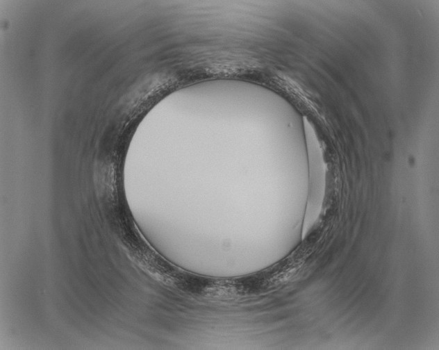 X0000062880211200602031750