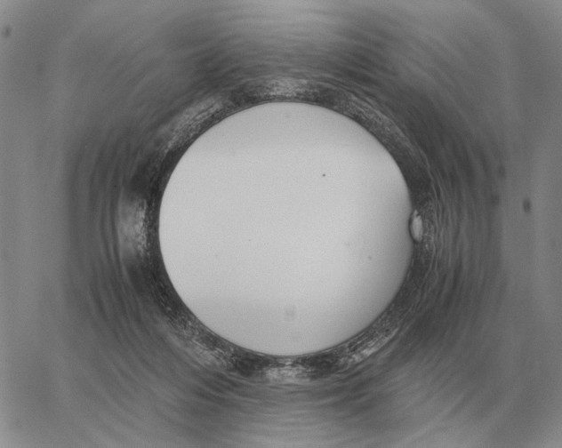 X0000062880216200602031750