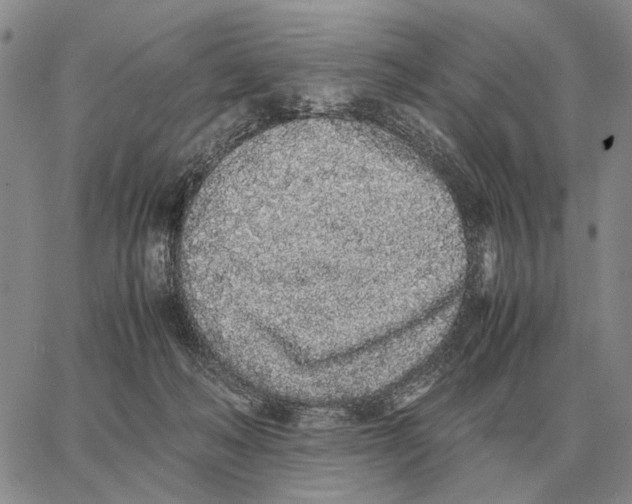 X0000062880222200602031750