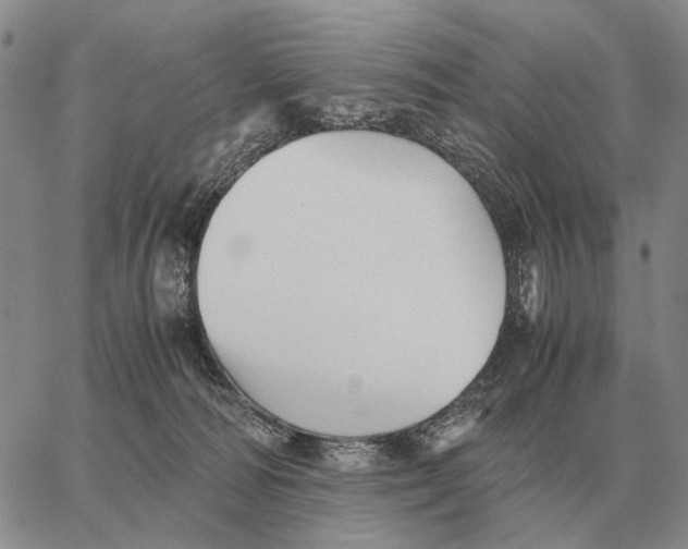 X0000062880226200602031749