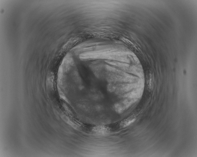X0000062880231200602031749