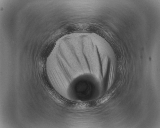X0000062880235200602031749